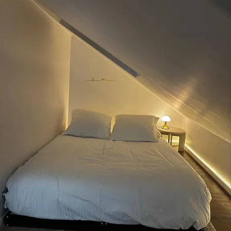 Ravissant Parisien *