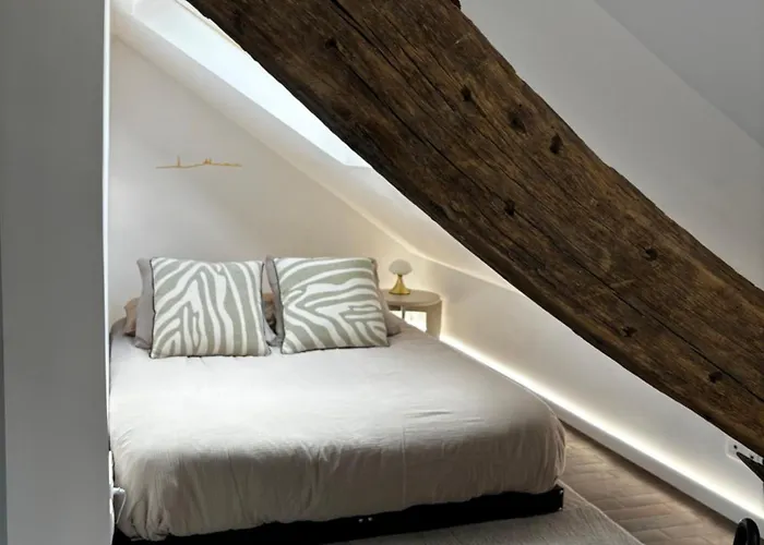 Apartman Ravissant Parisien *